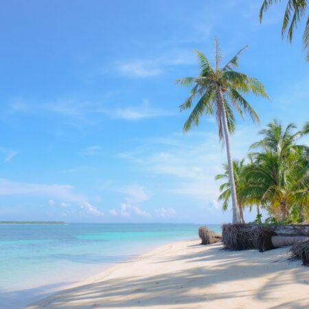 a tropical beach with palm trees and clear water